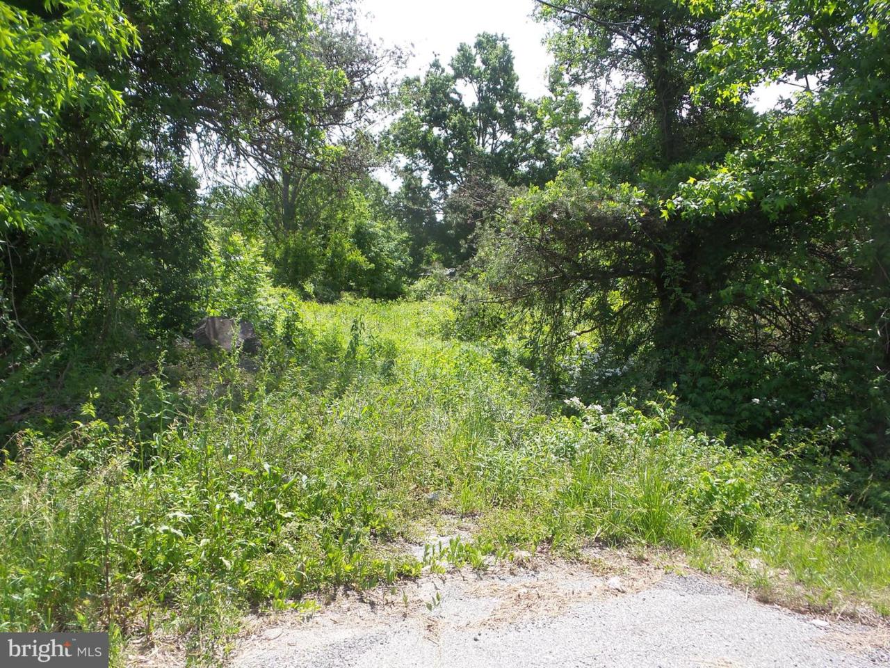 4050 Dupont Highway - Photo 1