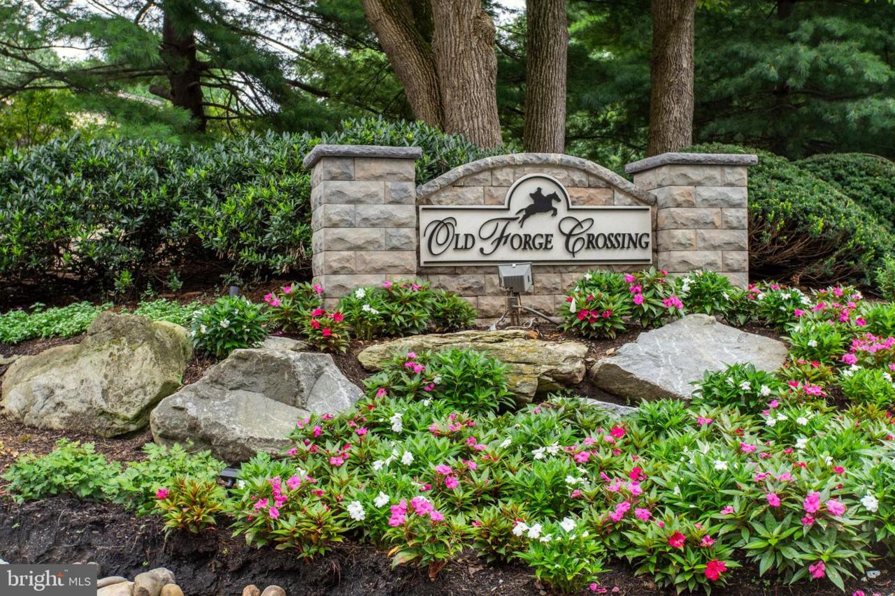 302 Old Forge Crossing - Photo 1