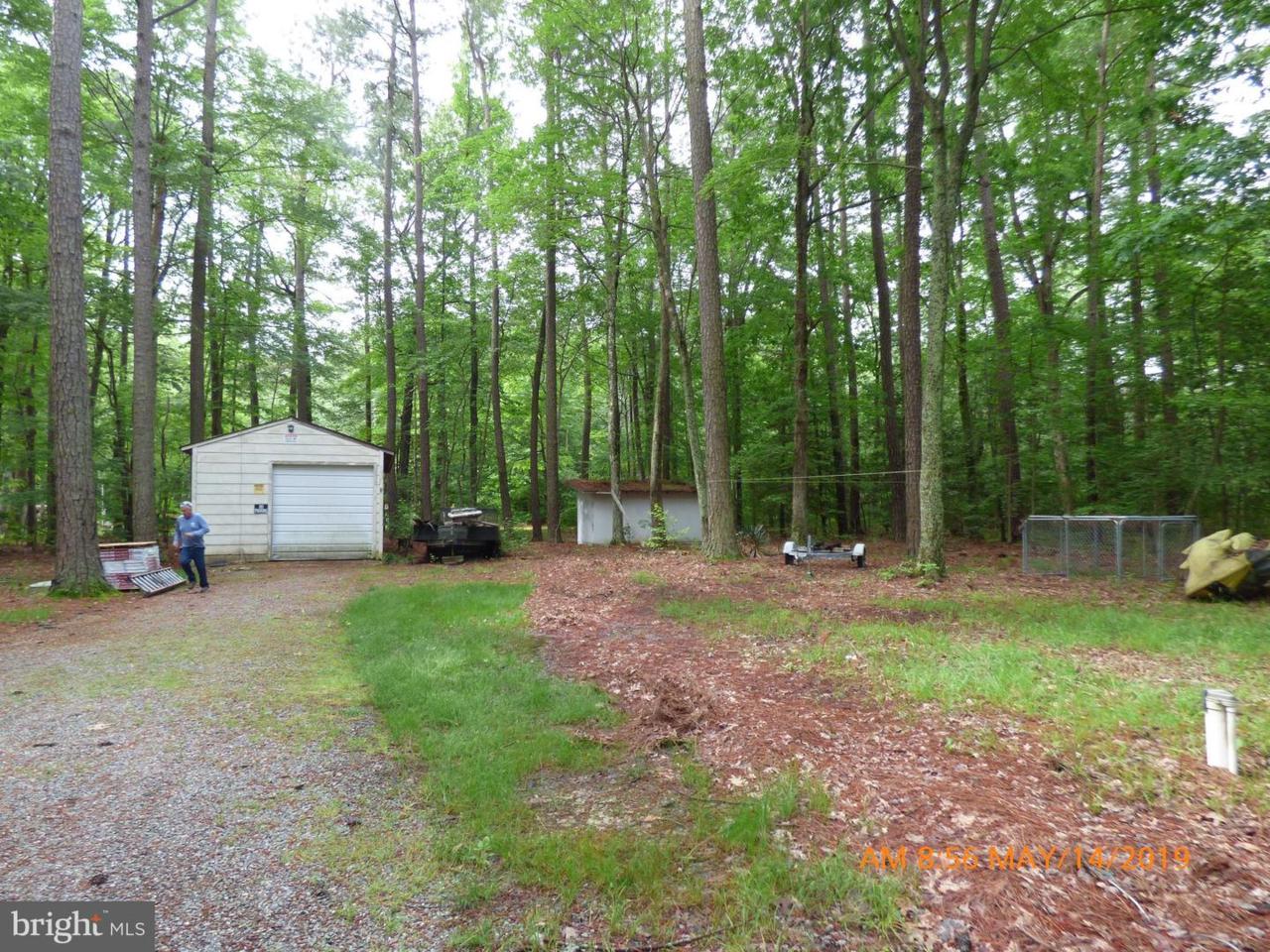 Hazel Drive - Photo 1