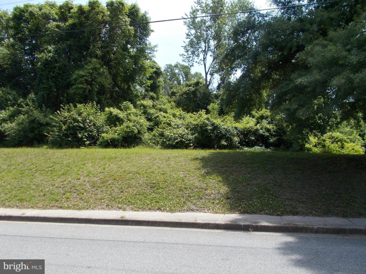 Bloomingdale Avenue - Photo 1