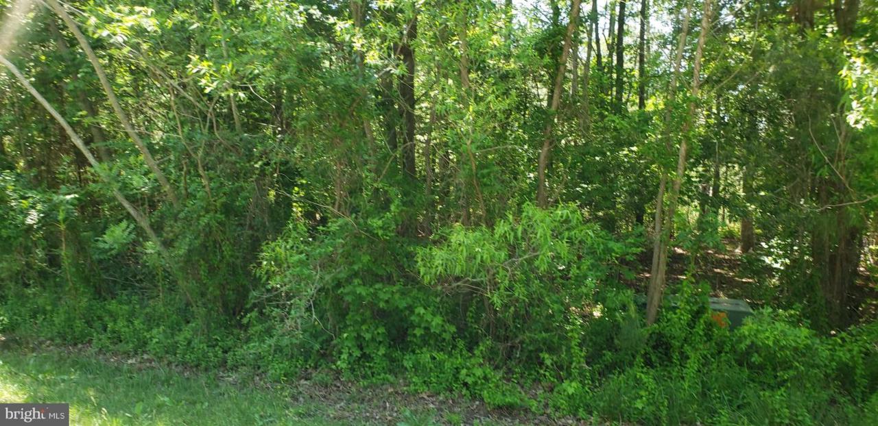 105 Mumfords Landing Road - Photo 1