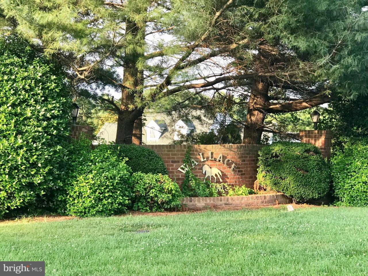 13 Wallace Farms Lane - Photo 1