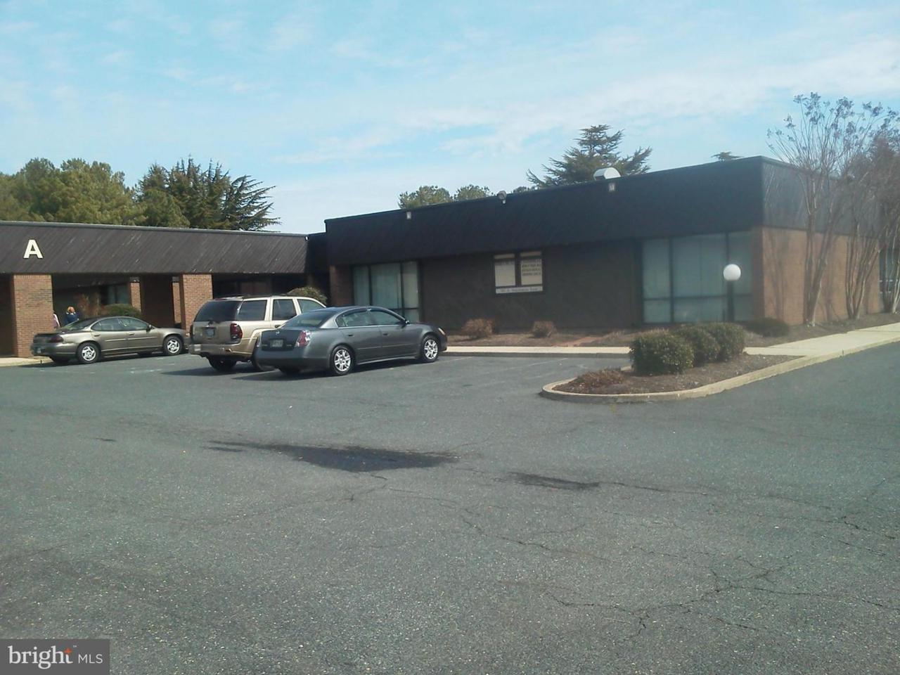 505 Dutchmans Lane - Photo 1