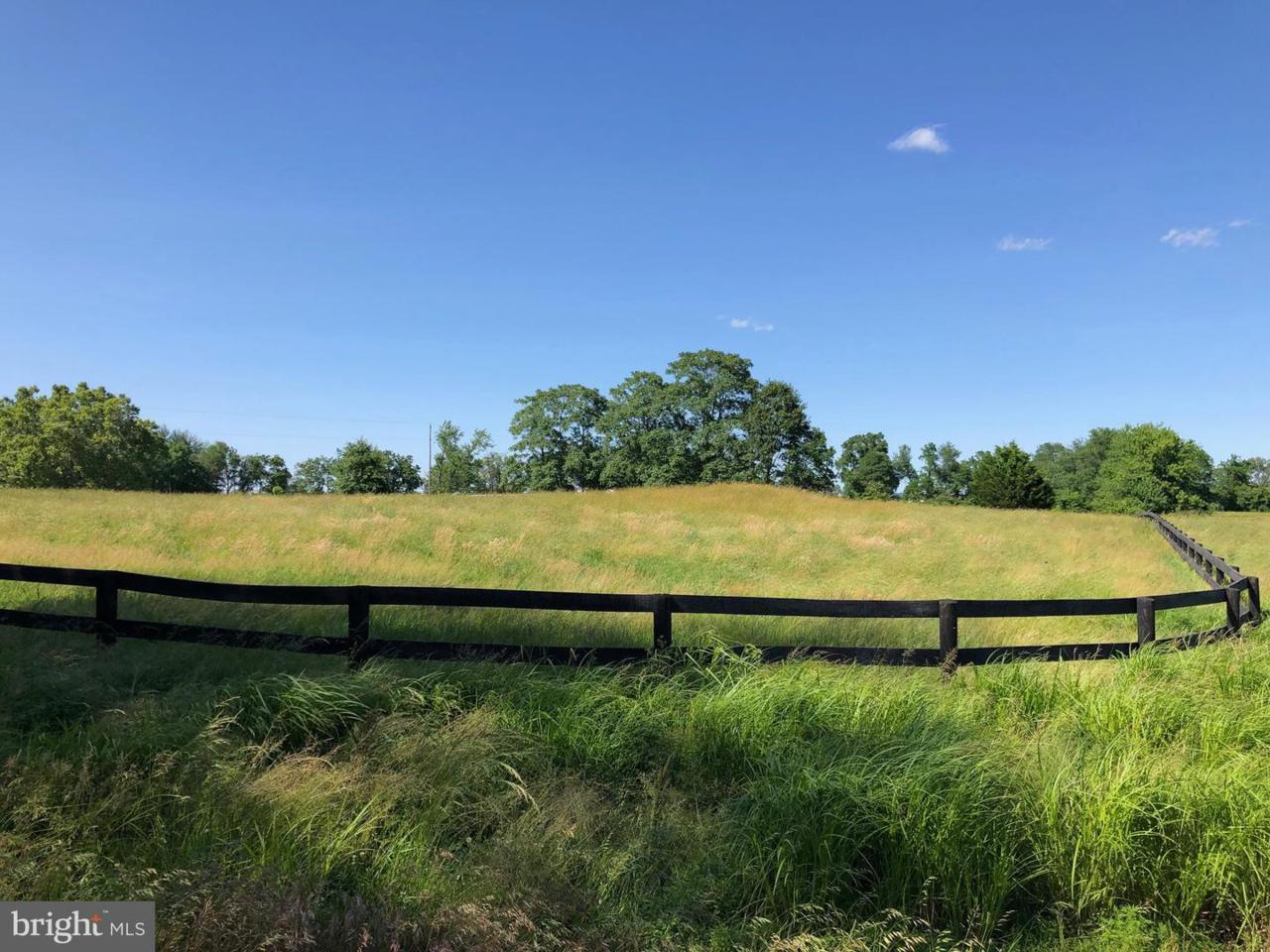 22542 Sam Fred Road - Photo 1