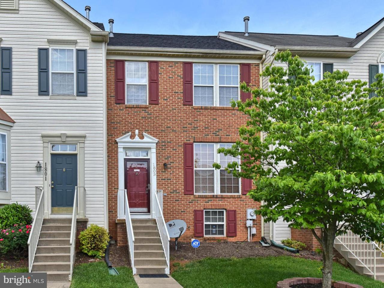 1803 Free Terrace - Photo 1