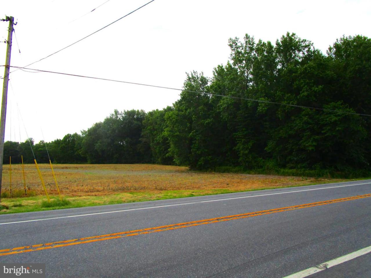 0 Halltown Road - Photo 1