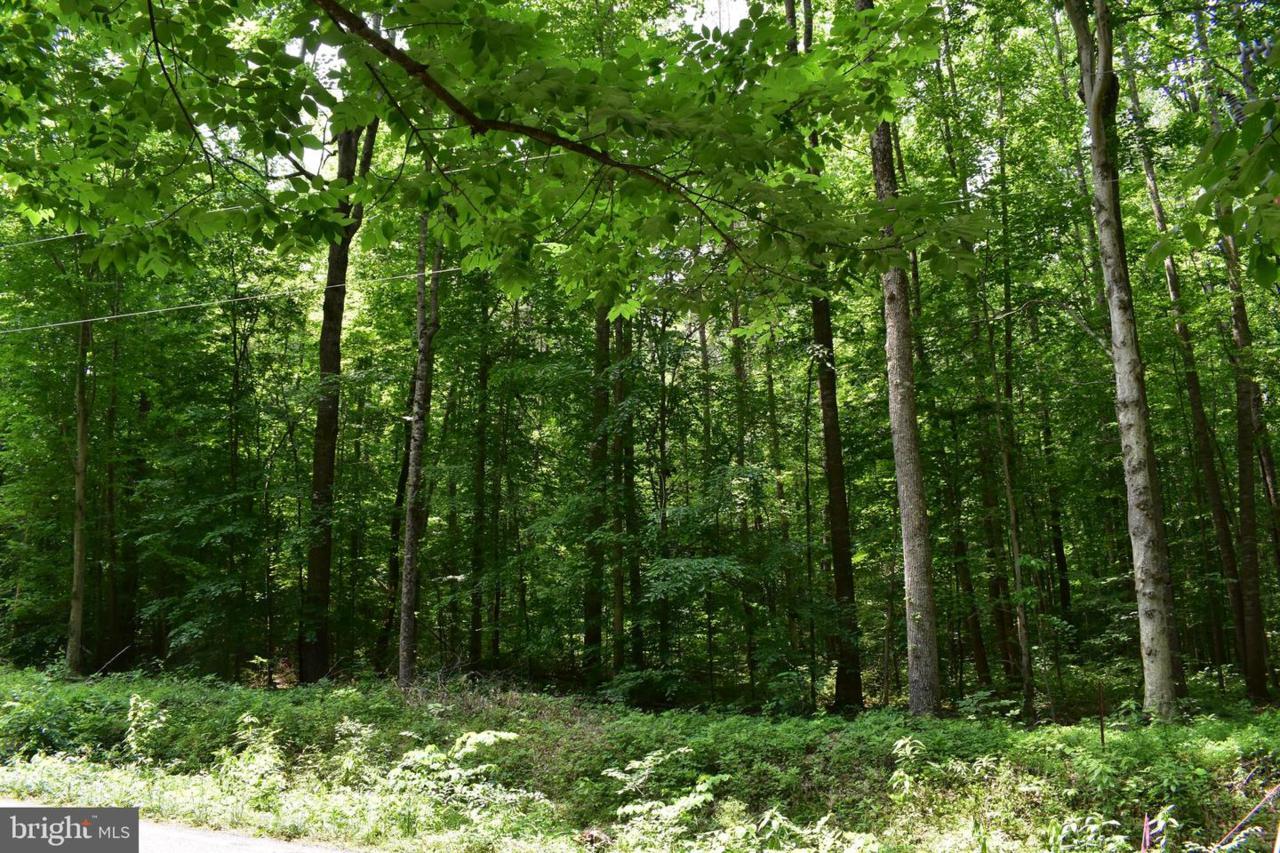 Bristersburg Rd - Photo 1