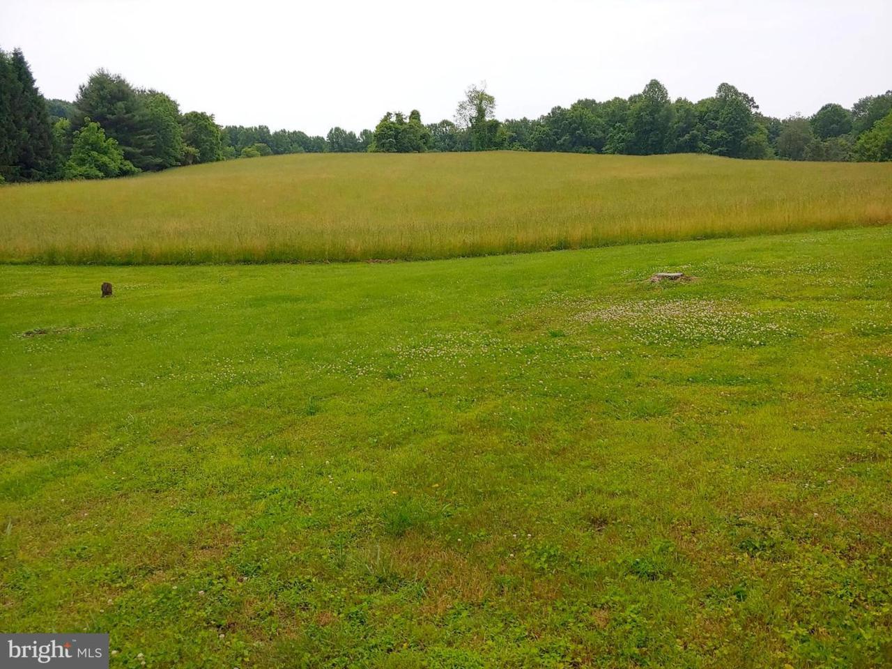 Lot #13 Bunker Hill Road - Photo 1