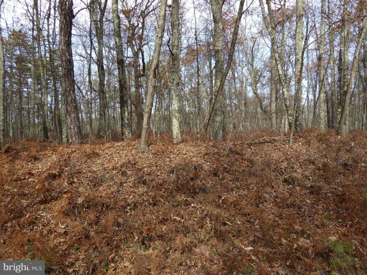 Spring Mt Prop - Photo 1