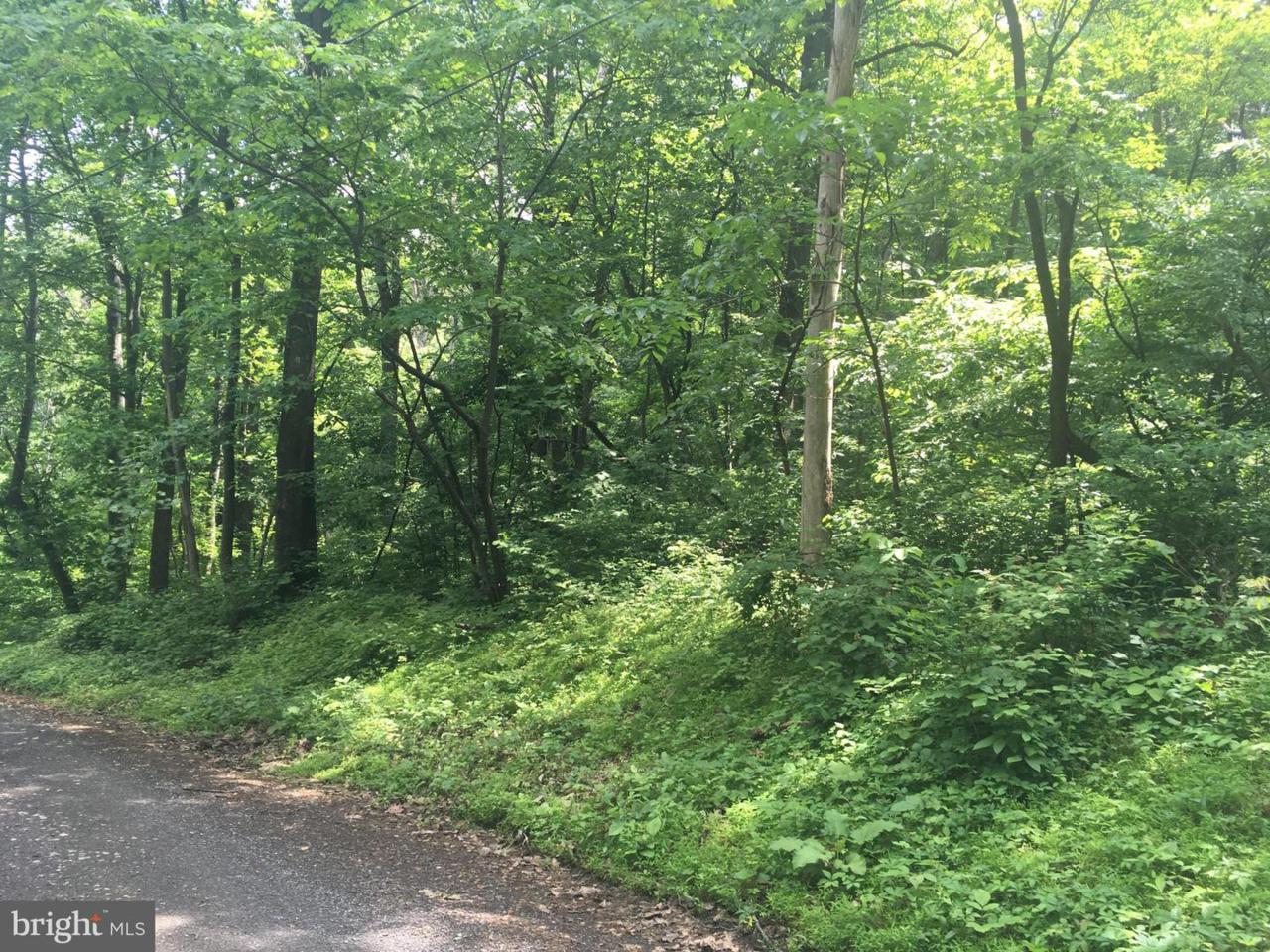 Lot 112 High Top Road - Photo 1