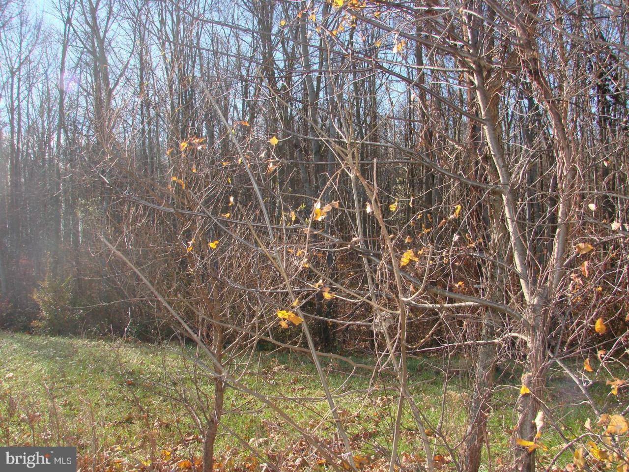 2704 Mount Holly Road - Photo 1