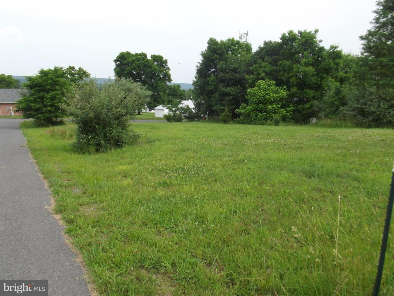 Lot(s) 1, 2, 9, 10 & Sassafras Lane - Photo 1