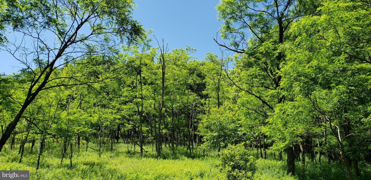 Sears Lane - Photo 1