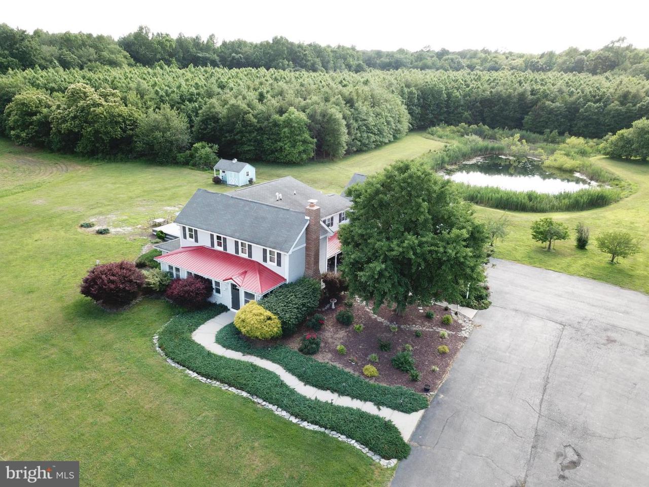 953 White Marsh Branch Lane - Photo 1