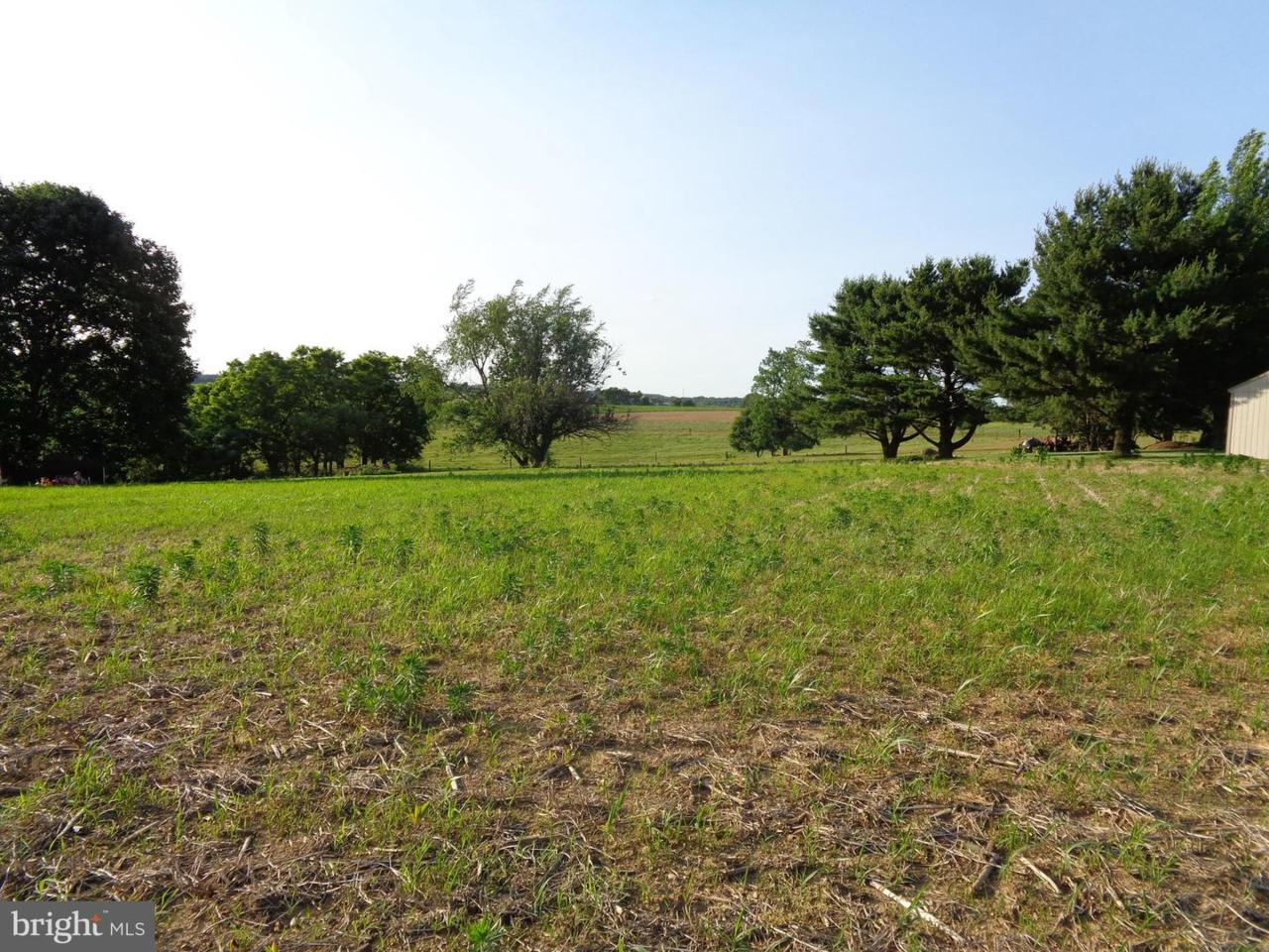 1107 River Road - Photo 1
