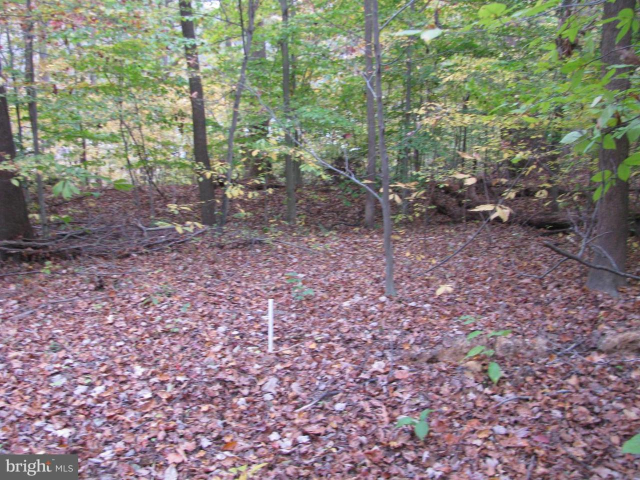 4755 Polling House Road - Photo 1