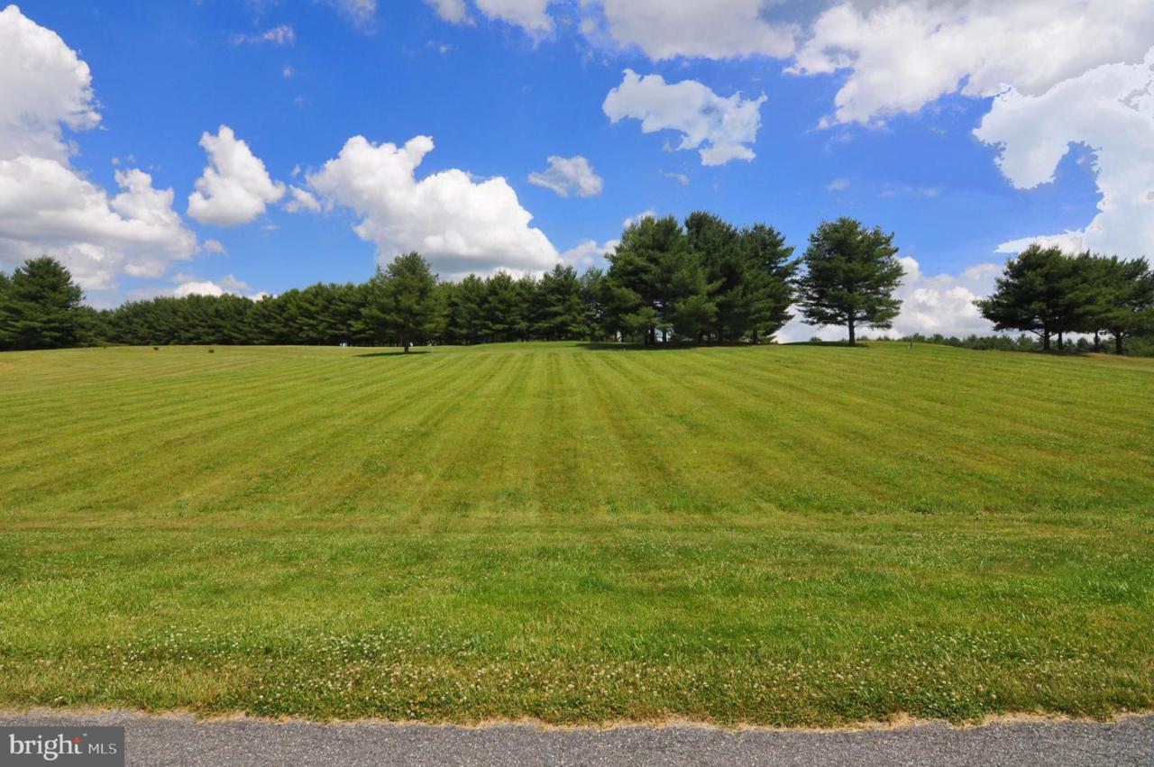 Lot 8 Bowling View Road - Photo 1
