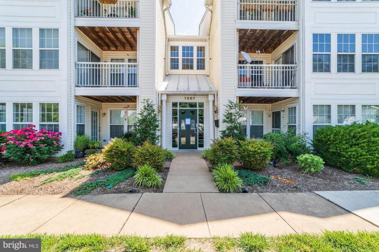 7507-C Snowpea Court - Photo 1