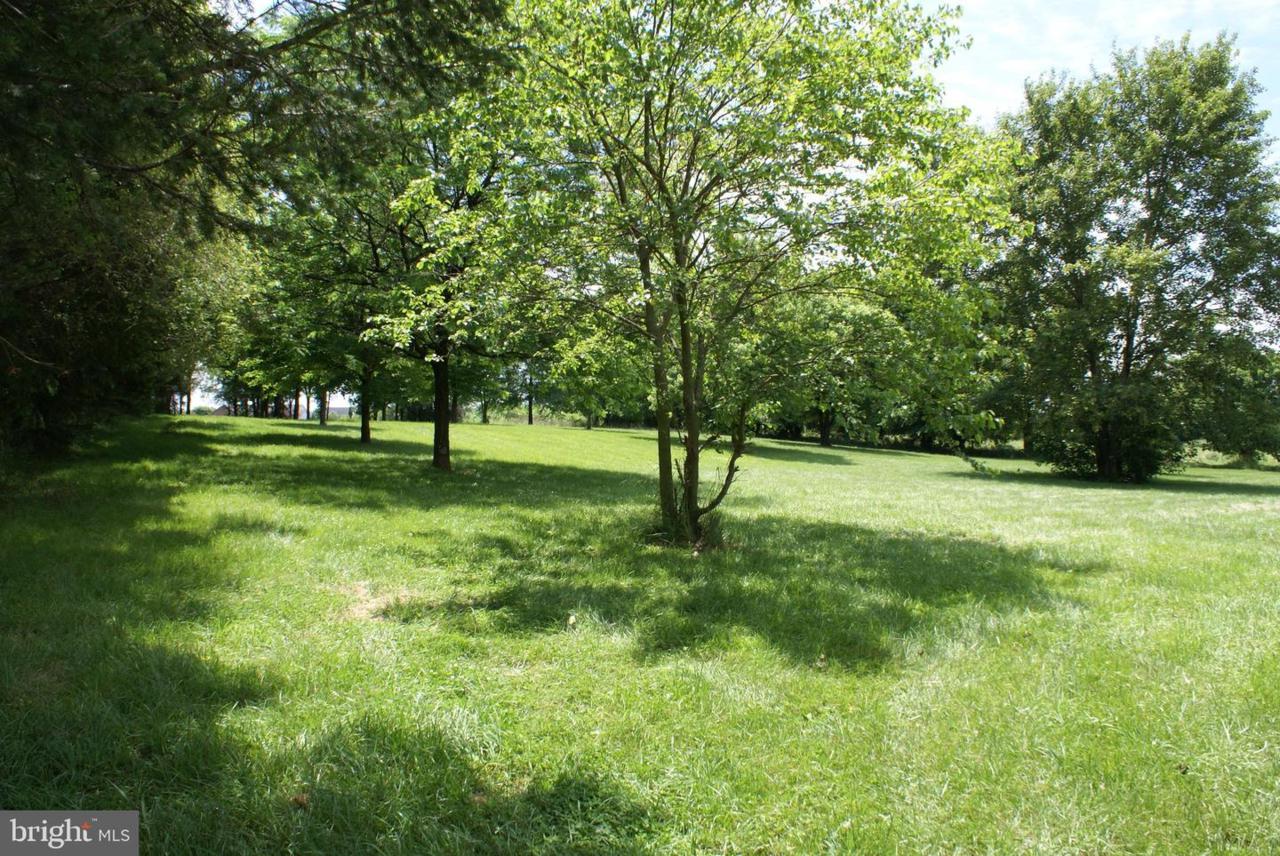 0 Fifth Avenue - Photo 1