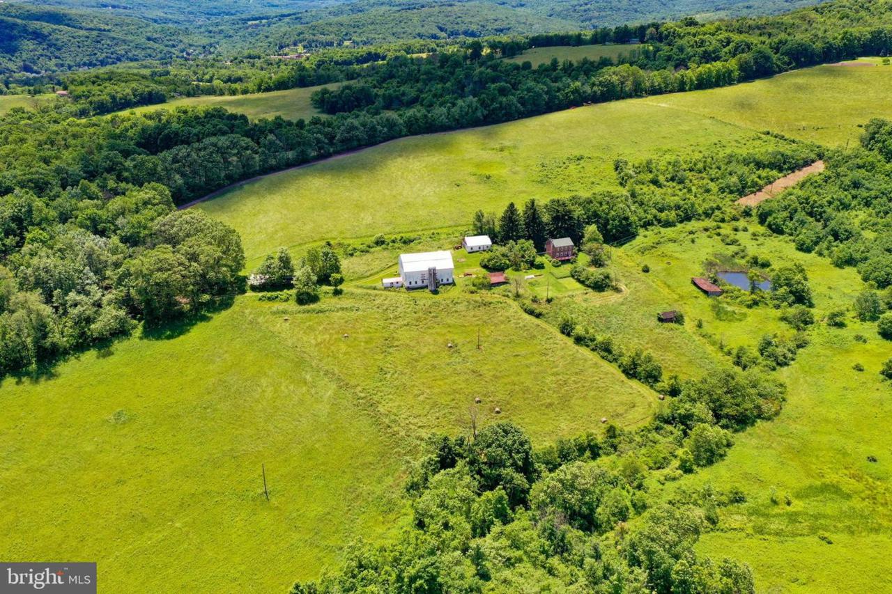 15210 Bear Camp Lane - Photo 1
