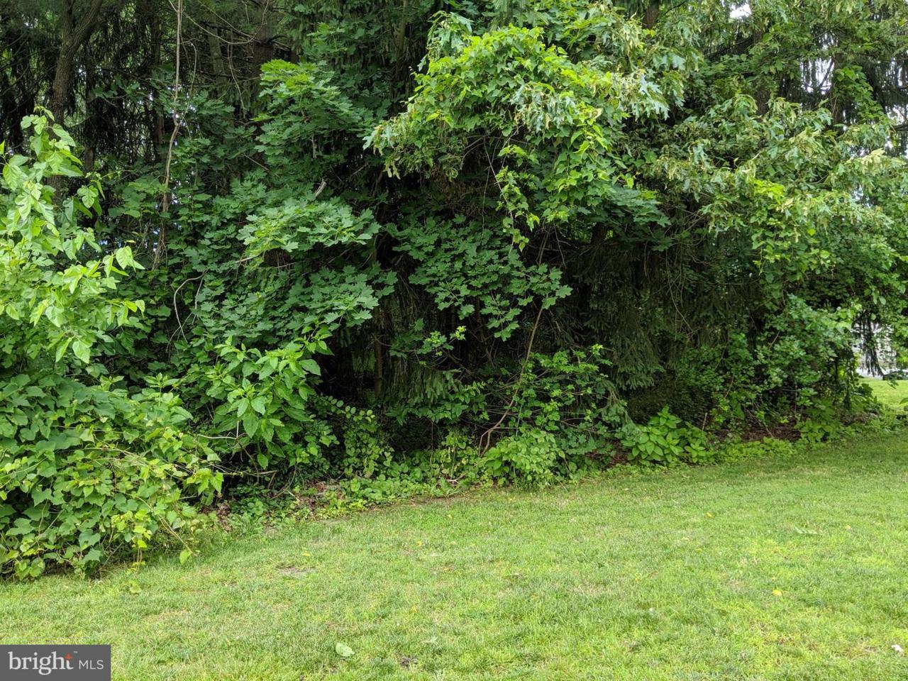 0 Shiloh Pike - Photo 1