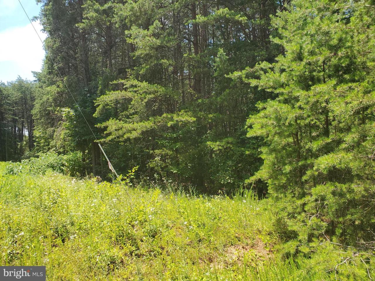 5172 Courthouse Road - Photo 1