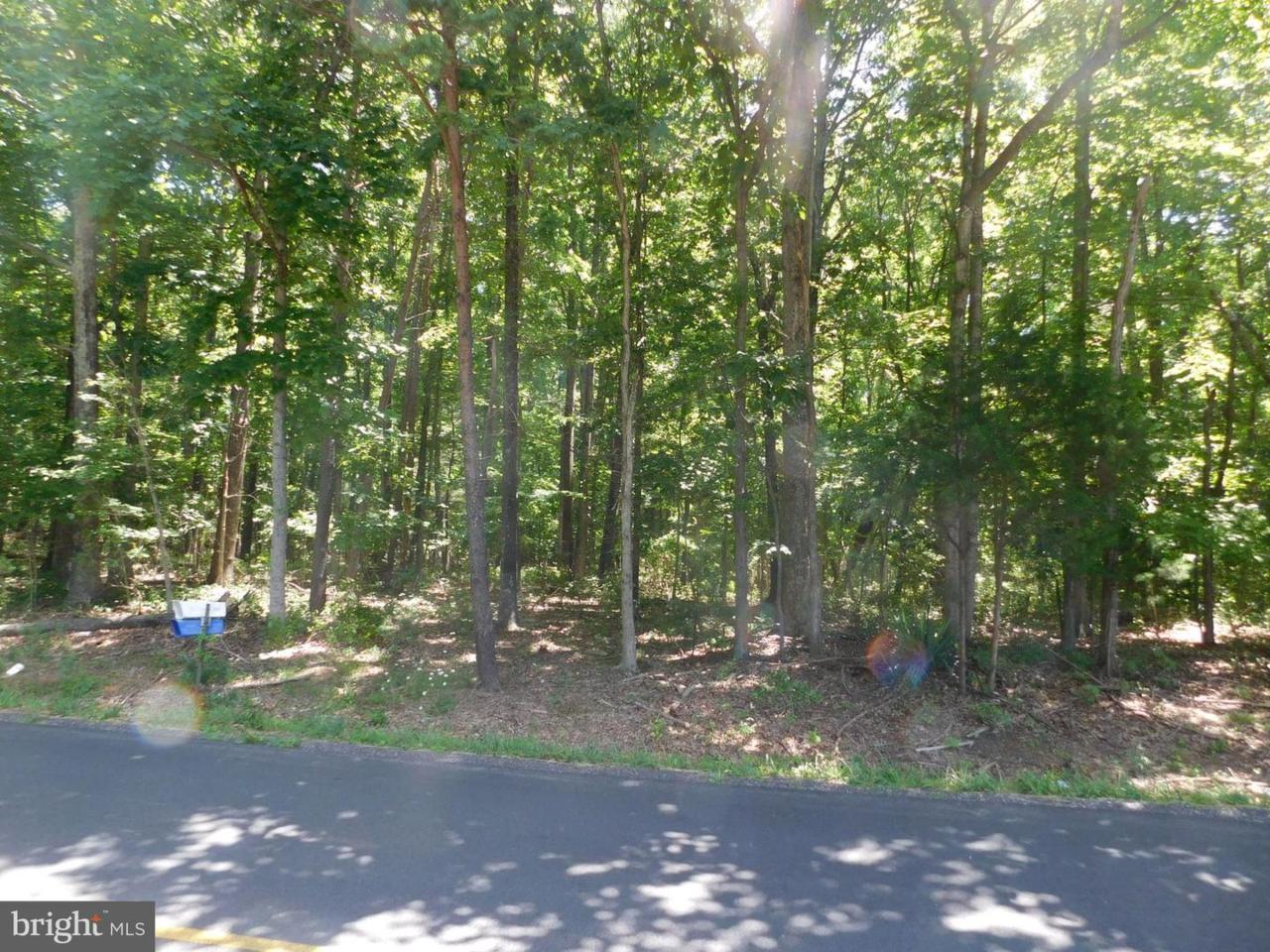 Forest Grove Rd - Photo 1
