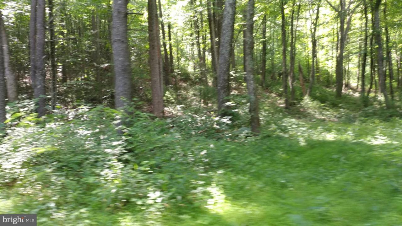 Printz Mill Road - Photo 1