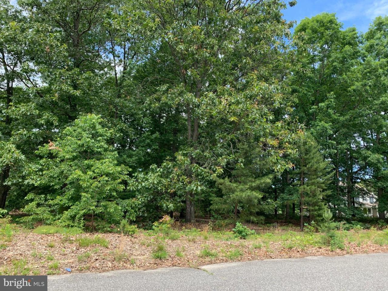 2926 Nicolette Court - Photo 1