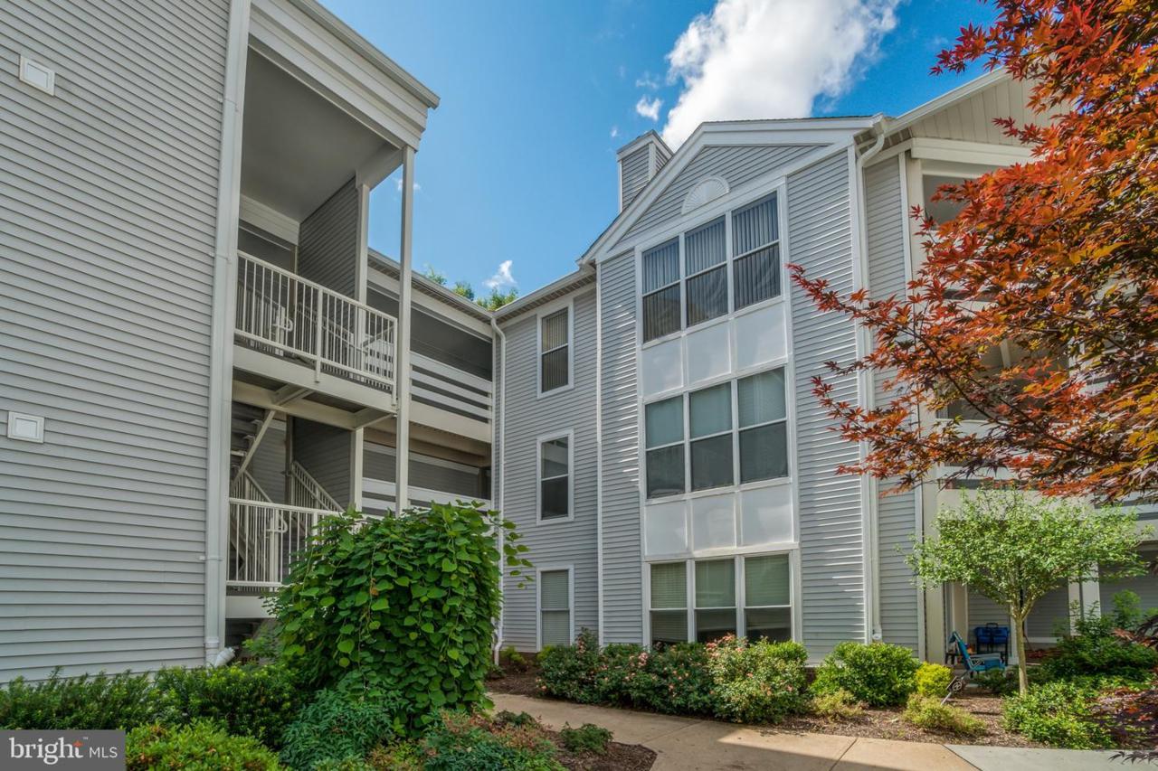 10303 Appalachian Circle - Photo 1