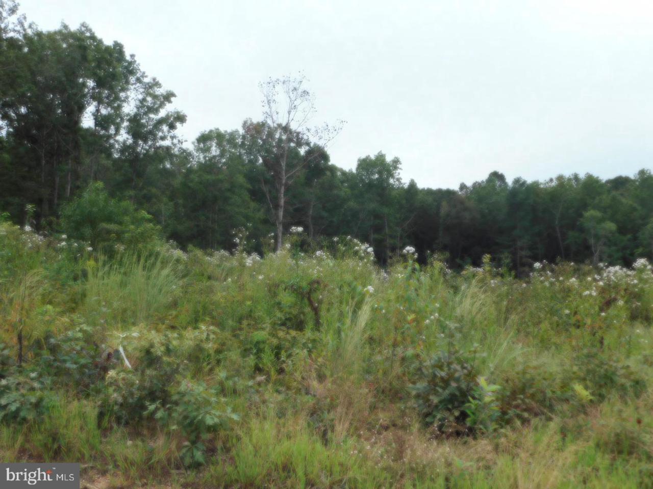 Lot 8J Bellewood Acres Lane - Photo 1 Lot 8J Bellewood Acres Lane - Photo 1
