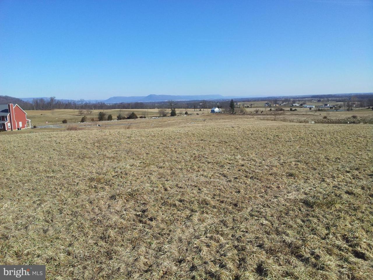 Lot #12 Winterleaf Drive - Photo 1
