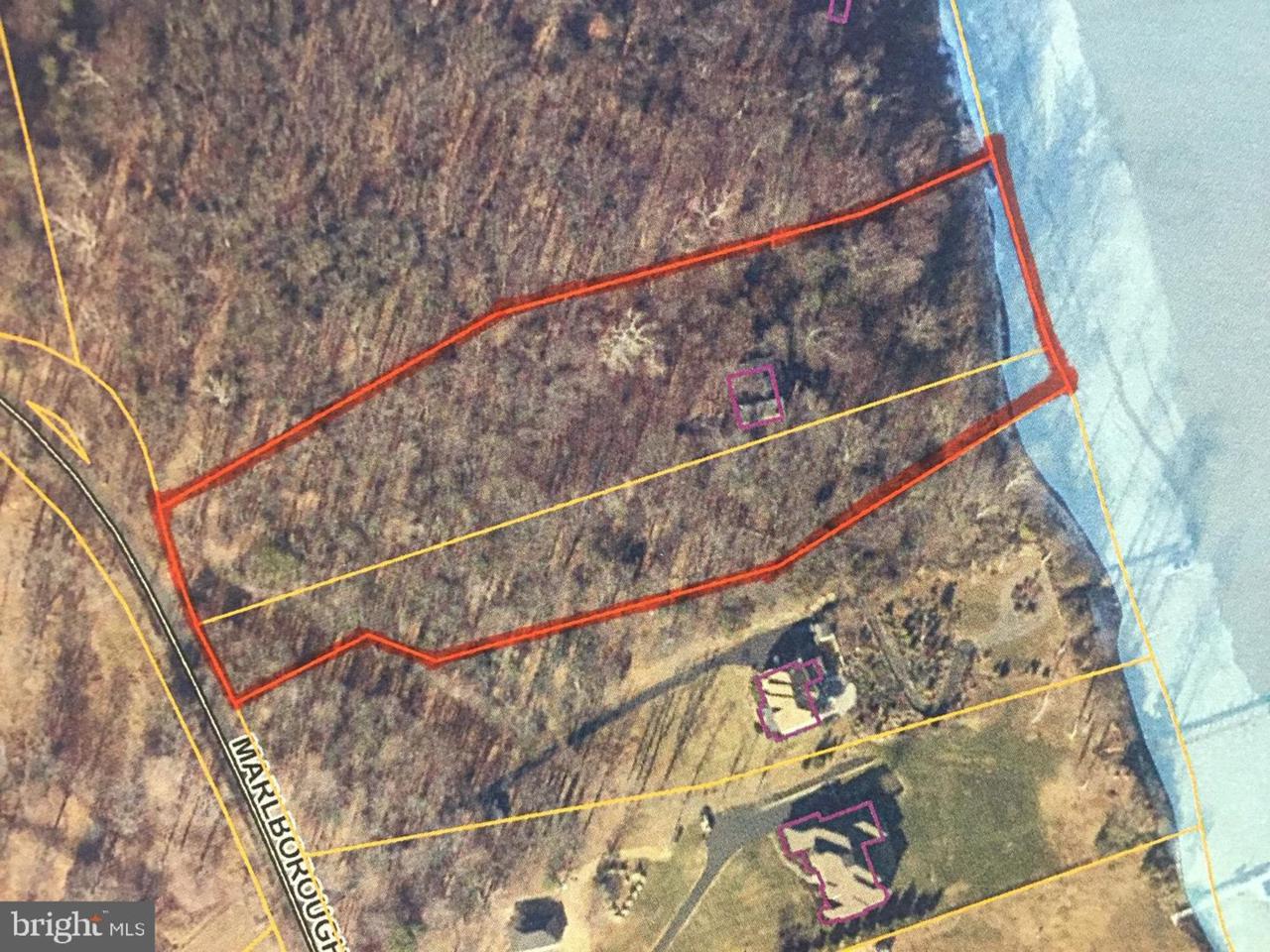 417 Marlborough Point Road - Photo 1
