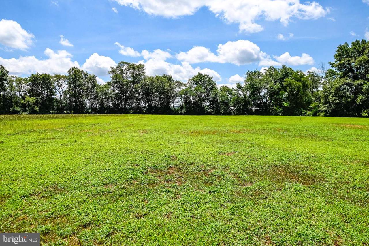 29482 Vines Creek Road - Photo 1