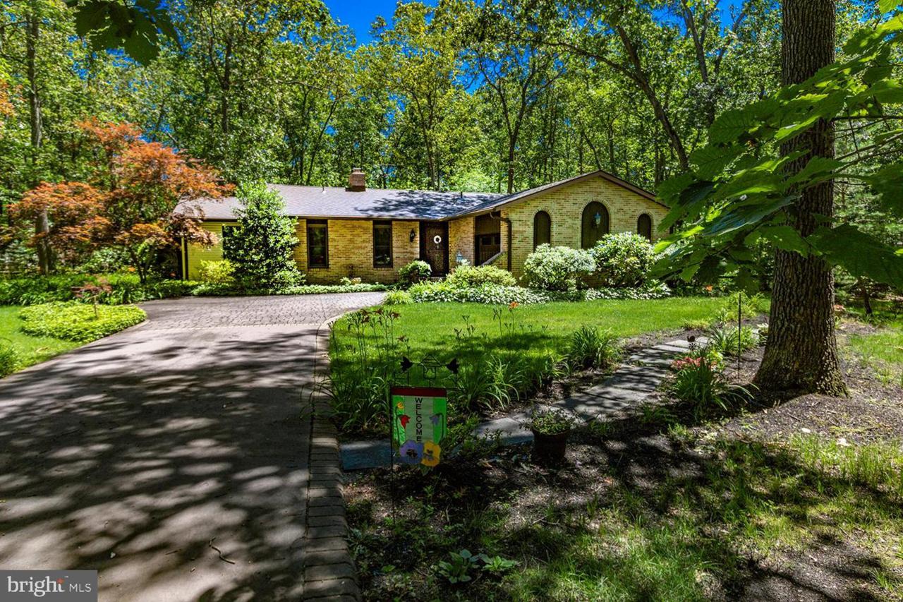 6 Mallard Drive - Photo 1