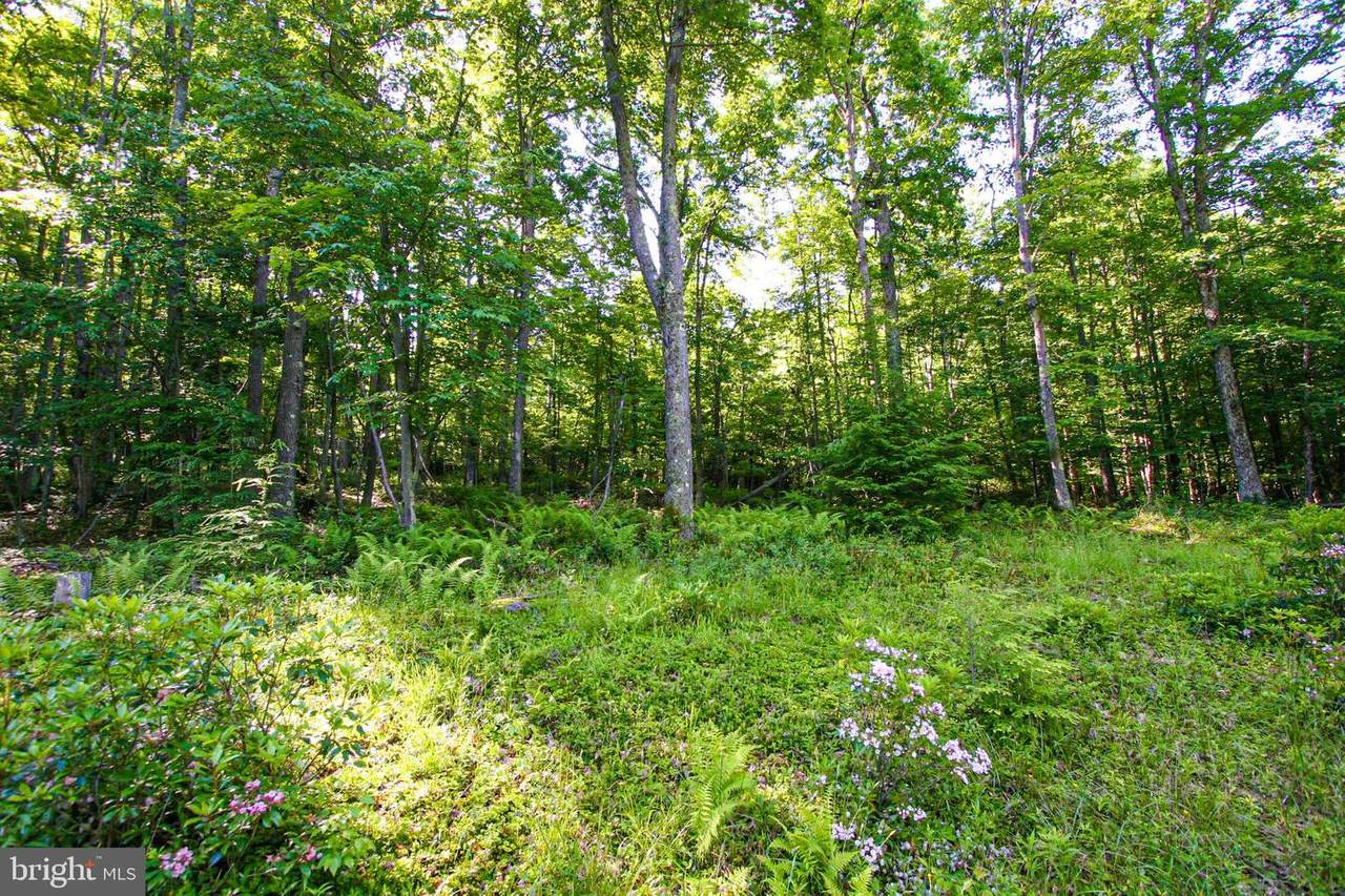 Lot 53 Pine Top Trail - Photo 1