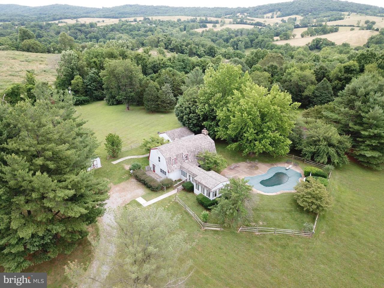 40599 Featherbed Lane - Photo 1 40599 Featherbed Lane - Photo 1