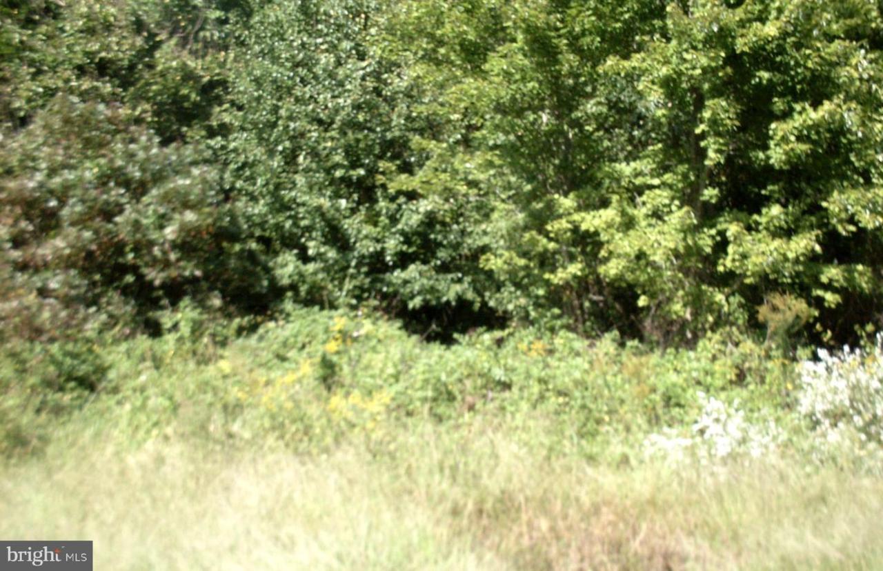 0 Jones Thicket Road - Photo 1