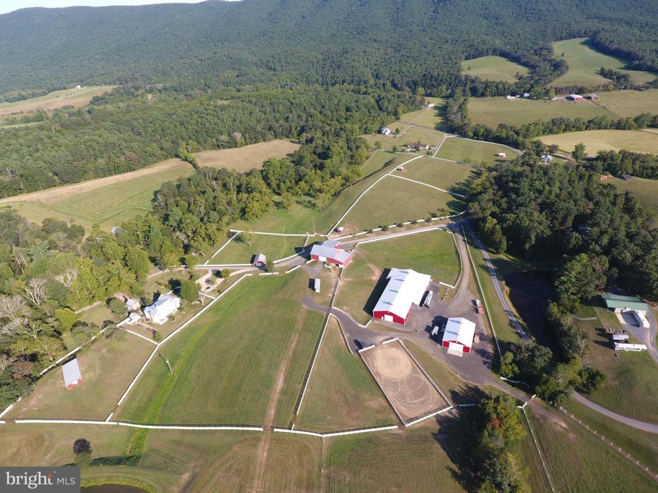 107 Glenmont Farm Road - Photo 1
