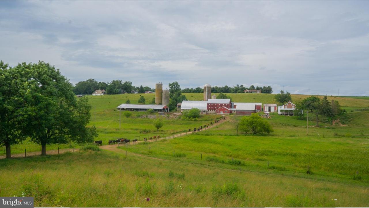1365 Georgetown Road - Photo 1
