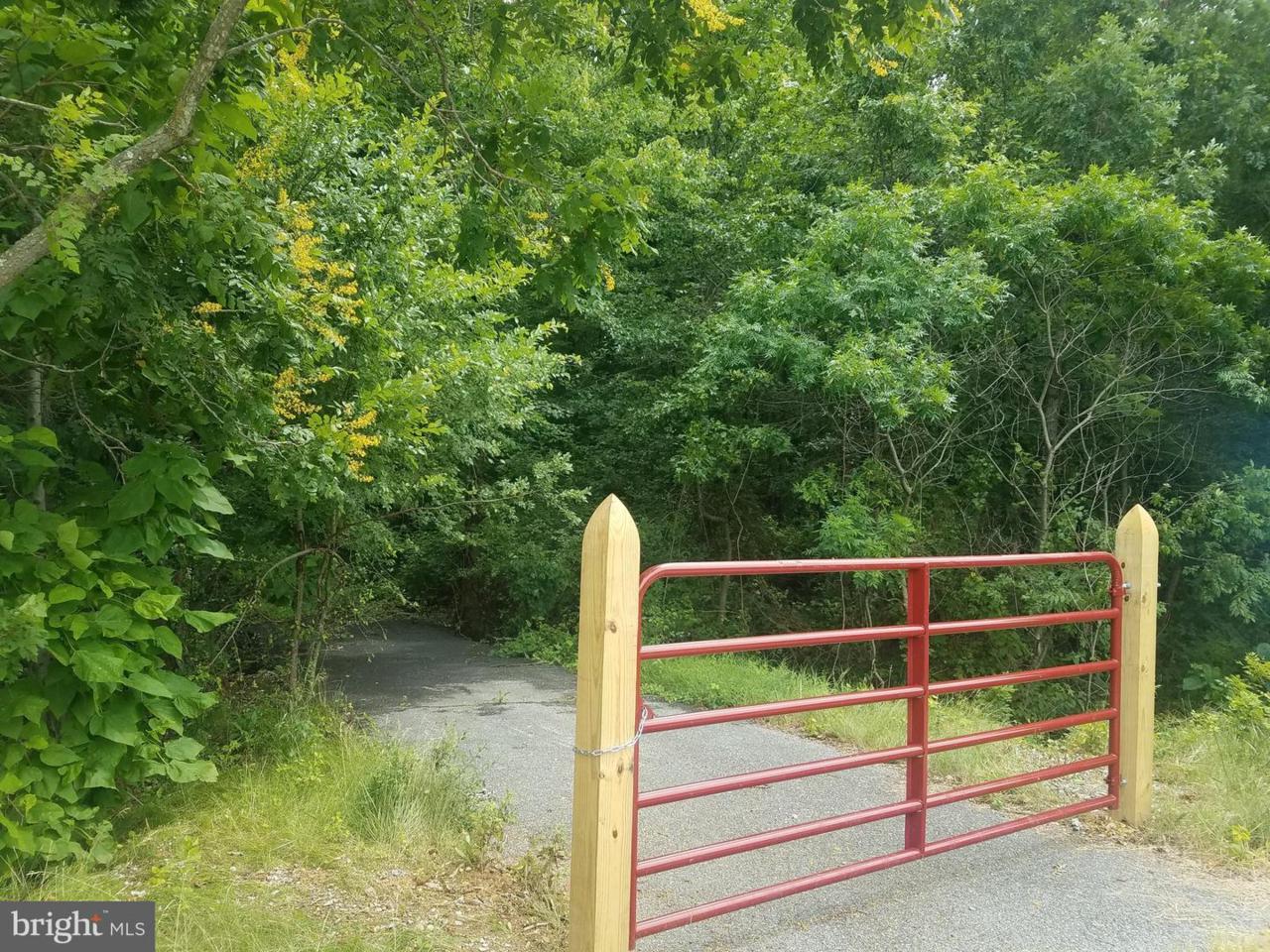 Kings Whisper Drive - Photo 1