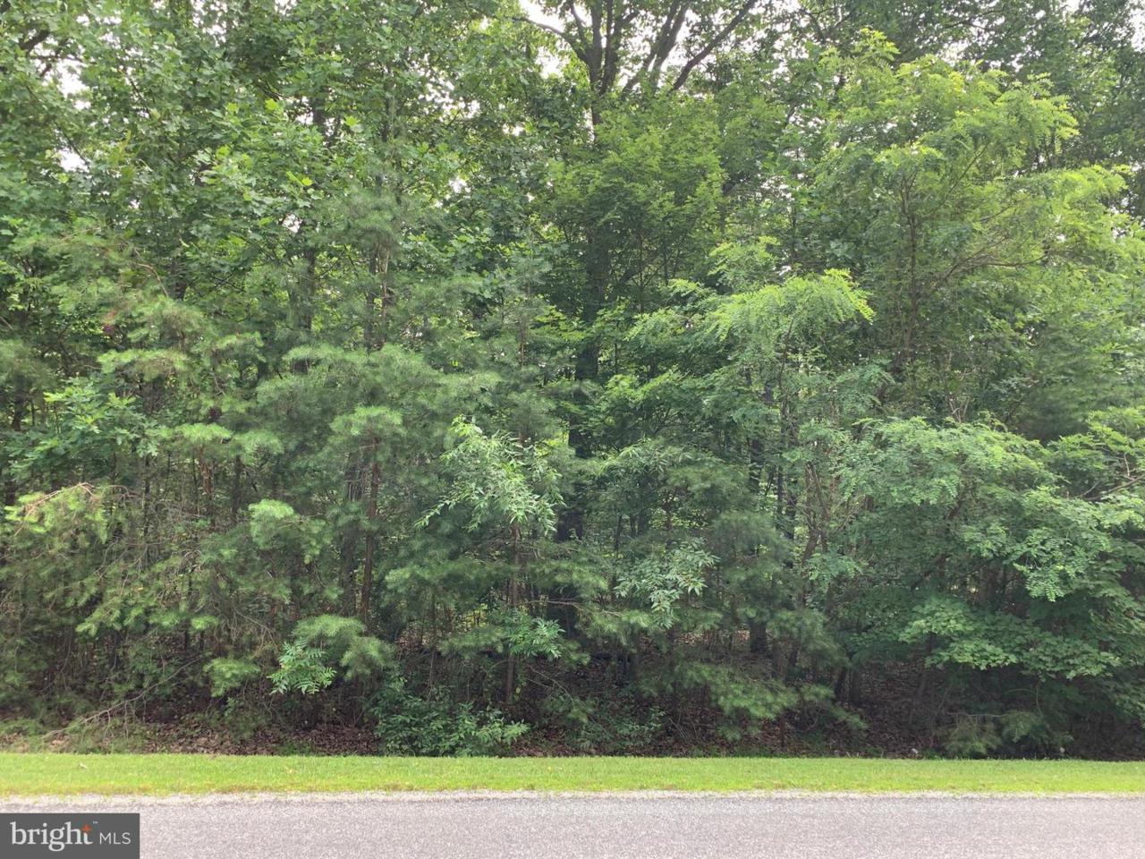 Old Office Road - Photo 1