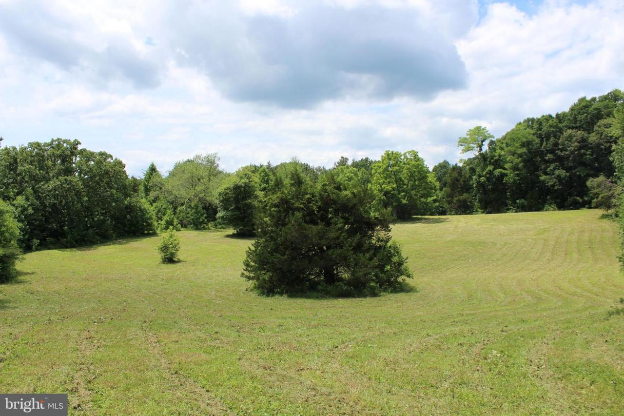 3785 Elly Road - Photo 1