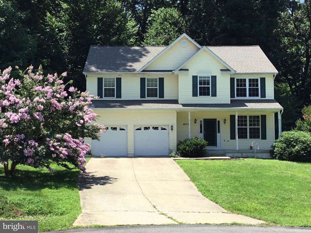 8075 Settle Court - Photo 1