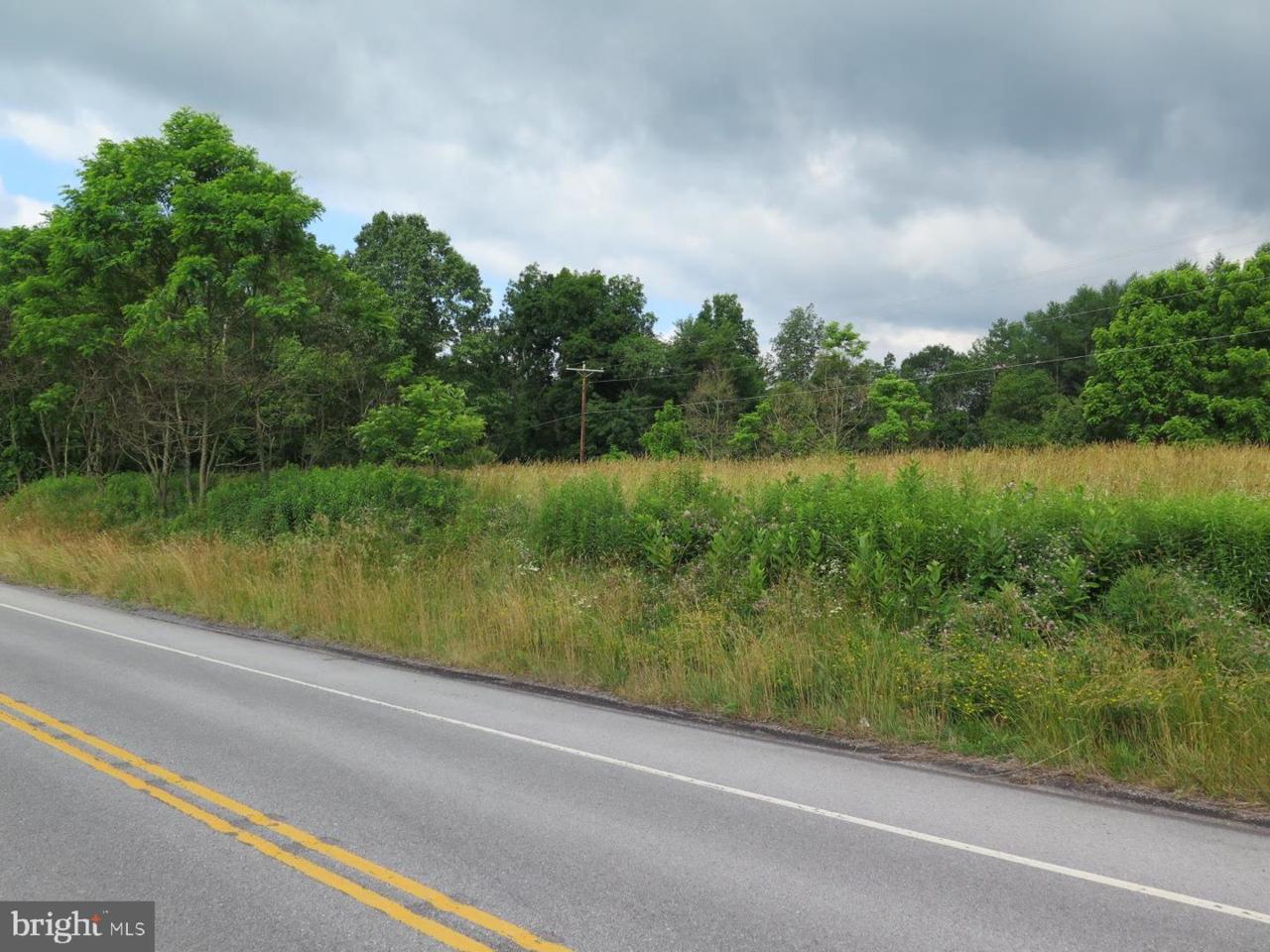Cooks Road - Photo 1