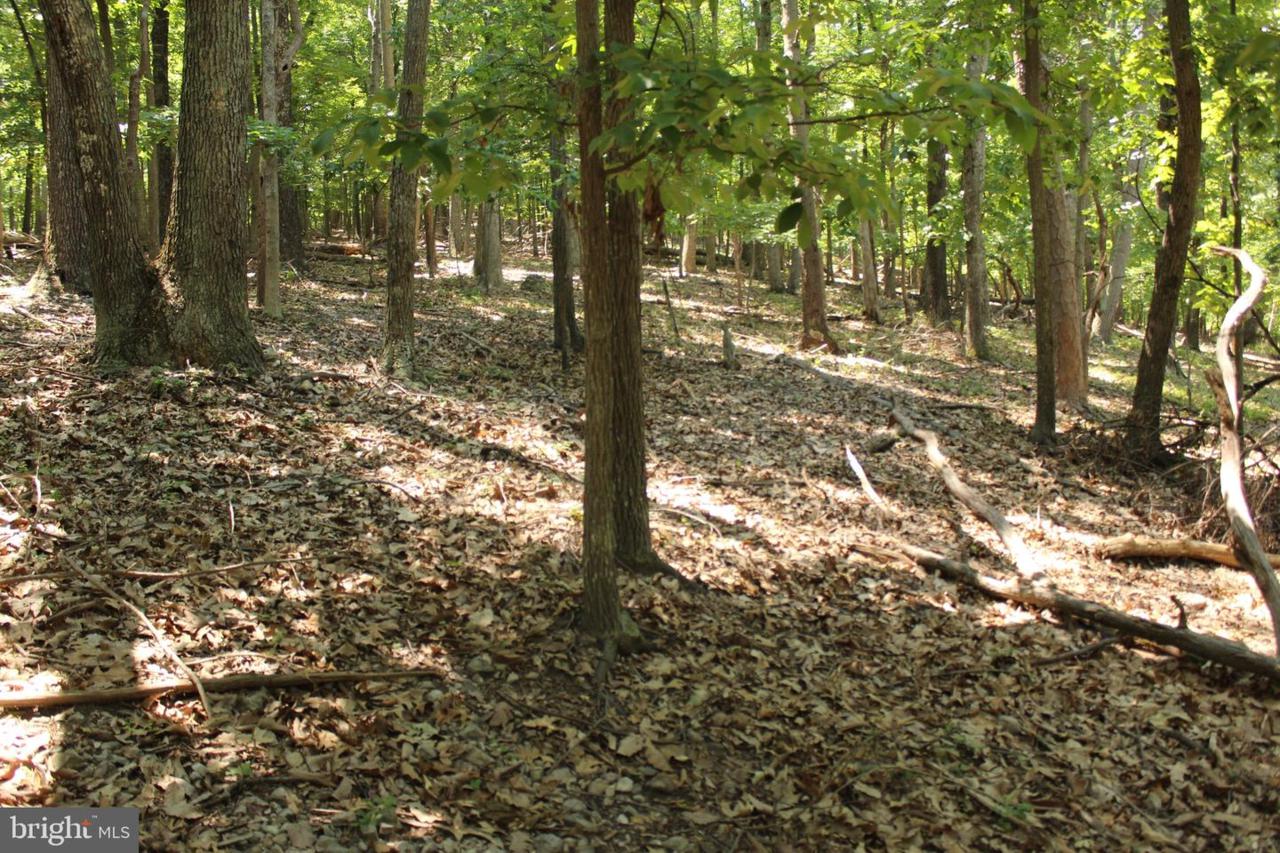 Shannon Woods Drive - Photo 1