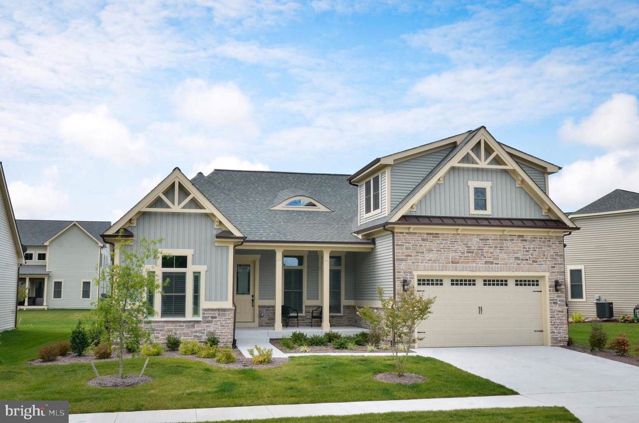 37233 Silvan Wood Way - Photo 1