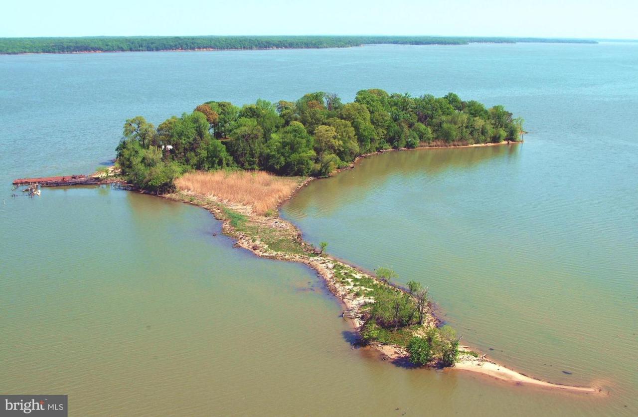 0 Chopawamsic Island - Photo 1