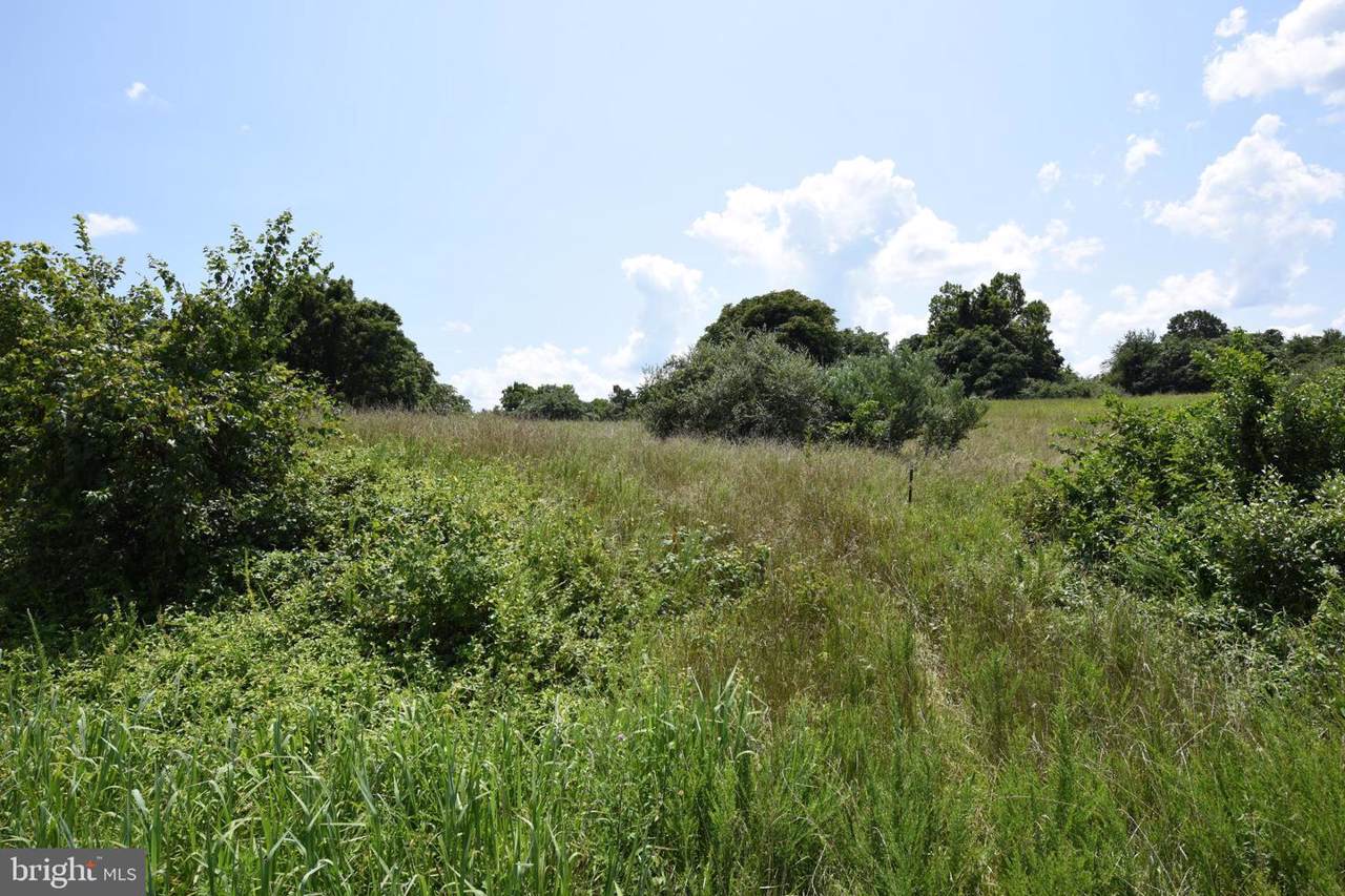 Lot 2 - John Marshall Hwy - Photo 1