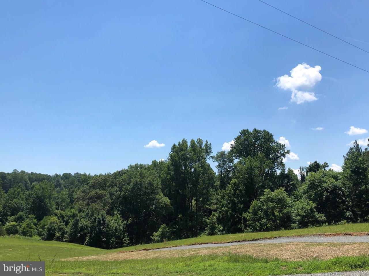 7489 Lot 108D Dogwood - Photo 1